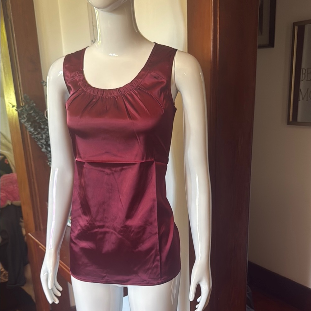 NWT northern reflections size small Sleek Burgundy Satin Tank Top